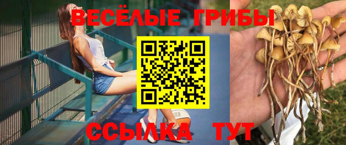 Псилоцибиновые грибы мухоморы  Вход с VPN  Псилоцибиновые грибы Cubensis  Солнечногорск 